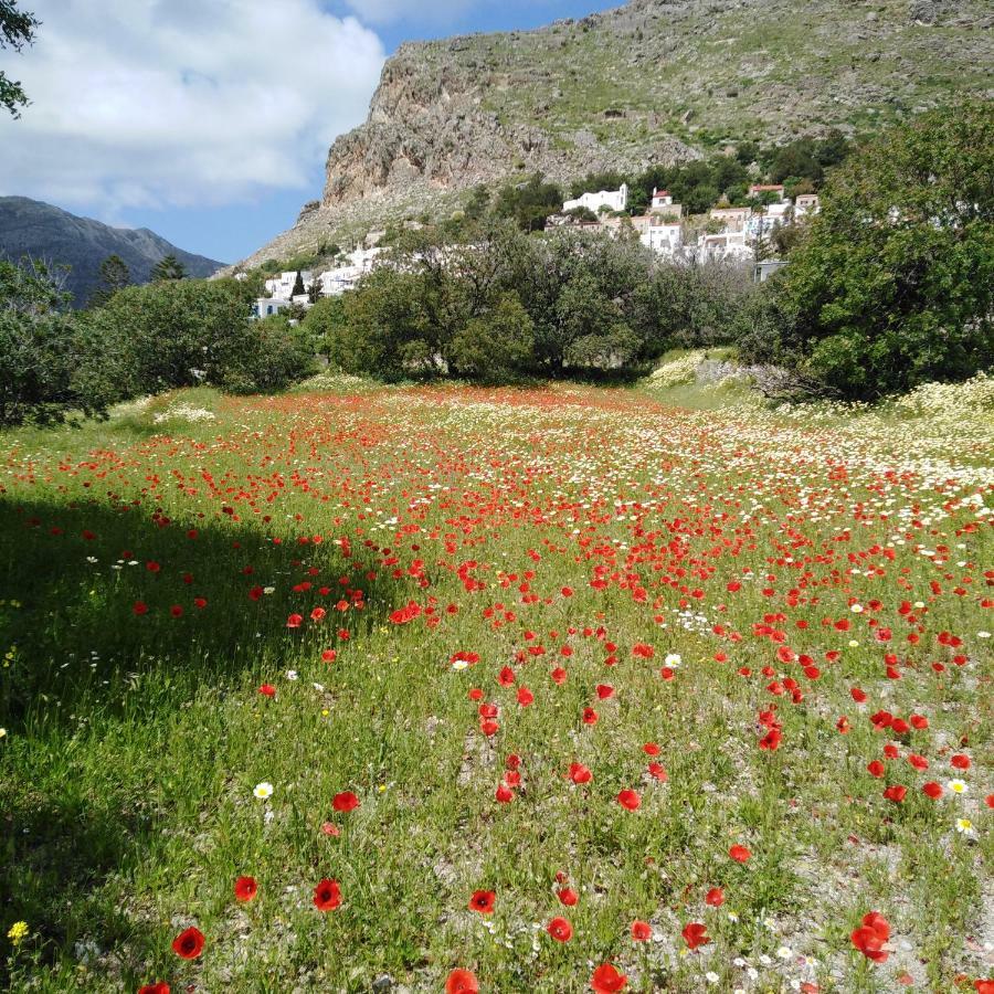 Tilos Island House Megálon Choríon Exterior foto